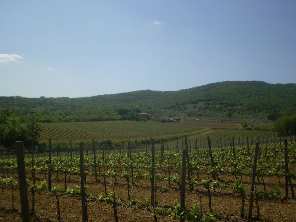 Вилла Agriturismo La Cella Ареццо Экстерьер фото